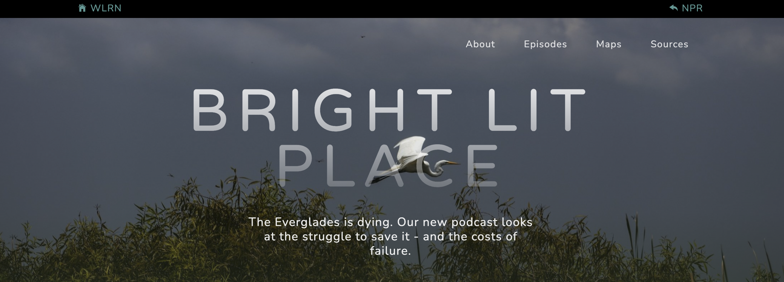 Bright Lit Place homepage bright-lit-place-homepage